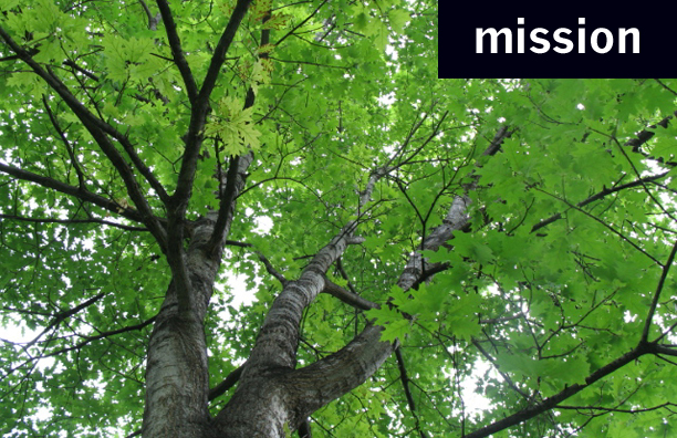 Mission section photo