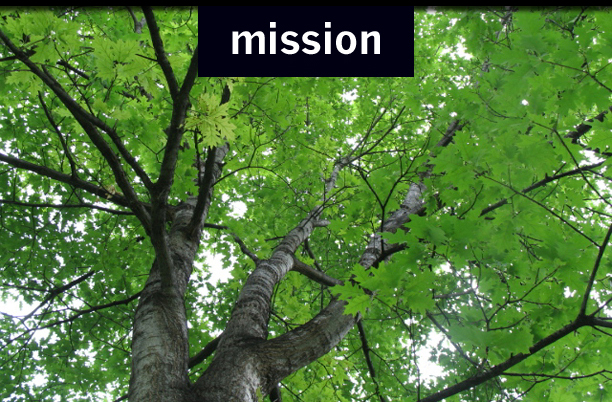 Mission section photo
